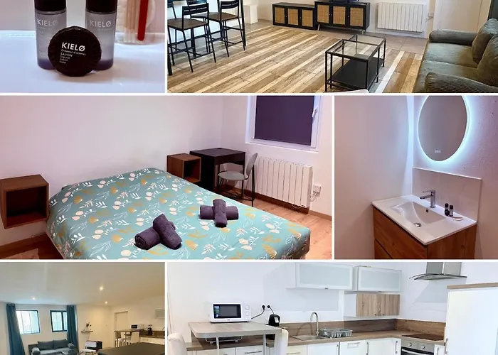 Dalikyda - Le Cosy - - Proche De La Gare